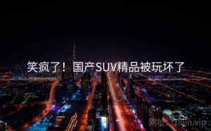 笑疯了！国产SUV精品被玩坏了