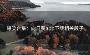 爆笑合集：向日葵app下载相关段子