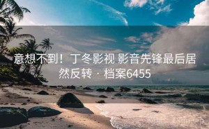 意想不到！丁冬影视 影音先锋最后居然反转 · 档案6455