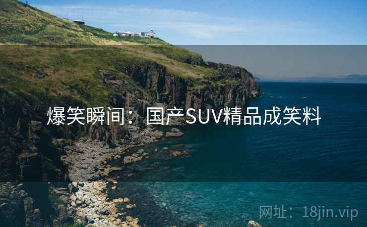 爆笑瞬间：国产SUV精品成笑料