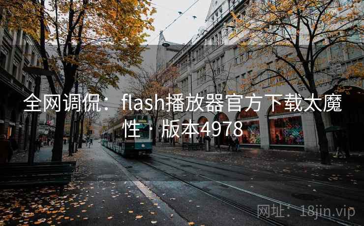 全网调侃：flash播放器官方下载太魔性 · 版本4978