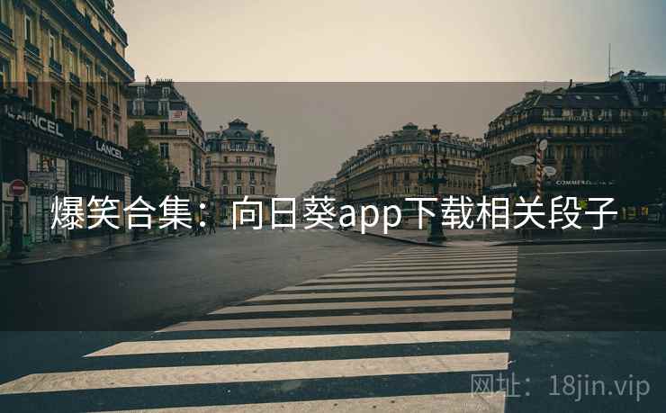 爆笑合集：向日葵app下载相关段子