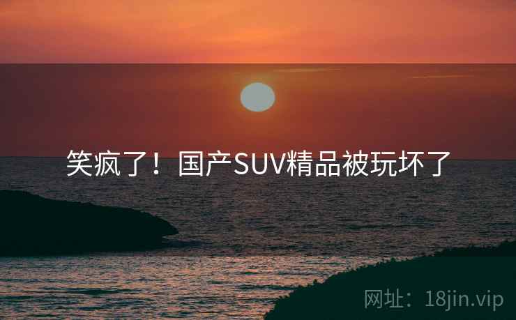 笑疯了！国产SUV精品被玩坏了